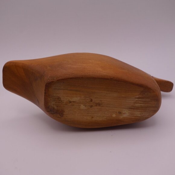 Wood Duck - Picture 12 of 16